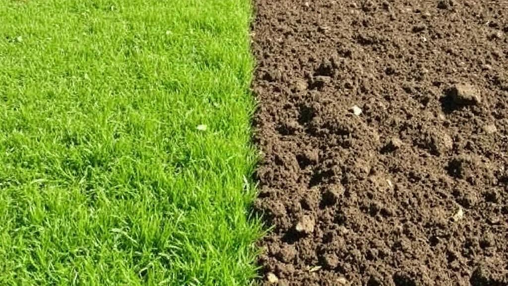 Niwelacja terenu i przygotowanie gleby pod zakładanie trawnika z siewu lub rolki. Jak dobrać rozwiązanie do działki: siew czy rolka w zależności od warunków